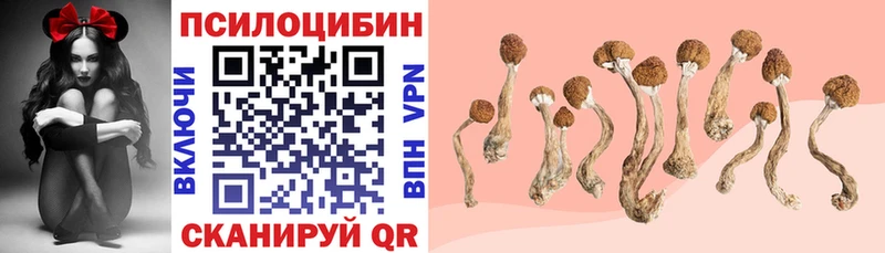 Галлюциногенные грибы ЛСД  Высоцк 